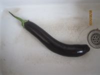 养生食谱大放送