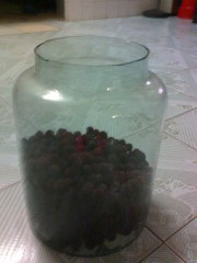 养生食谱大放送