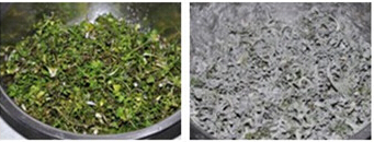 蒸<a href=/shicai/shucai/JiCai/index.html target=_blank><u>荠菜</u></a>步骤3-4