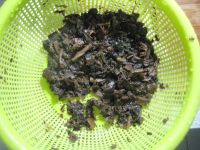 养生食谱大放送