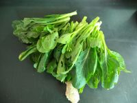 养生食谱大放送