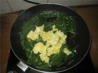 养生食谱大放送