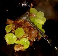 养生食谱大放送