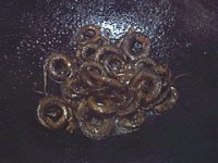 养生食谱大放送