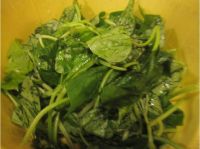 养生食谱大放送