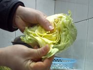 养生食谱大放送