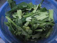 养生食谱大放送