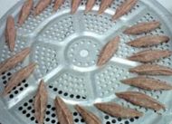 养生食谱大放送