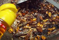 养生食谱大放送