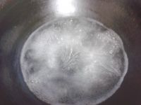 养生食谱大放送