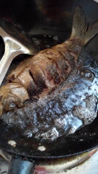 养生食谱大放送