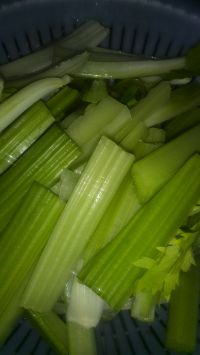 养生食谱大放送