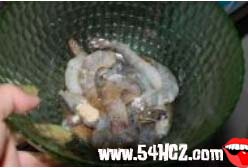 <a href=/shicai/shucai/JiuCai/index.html target=_blank><u>韭菜</u></a>花炒虾仁的做法2