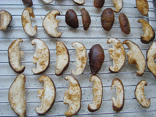 烤<a href=/shicai/shucai/XiangGu/index.html target=_blank><u>香菇</u></a>