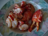 养生食谱大放送