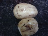 养生食谱大放送