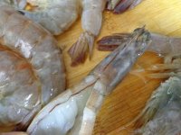 养生食谱大放送