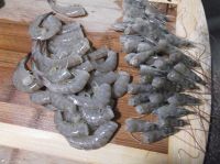 养生食谱大放送