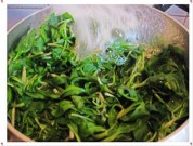 养生食谱大放送