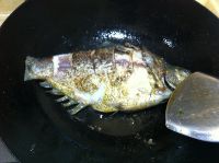 养生食谱大放送