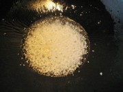 养生食谱大放送