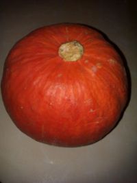 养生食谱大放送