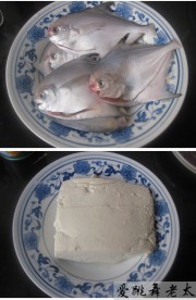 养生食谱大放送