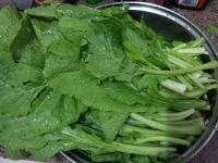 养生食谱大放送