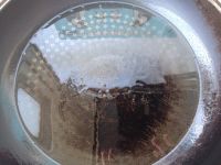 养生食谱大放送