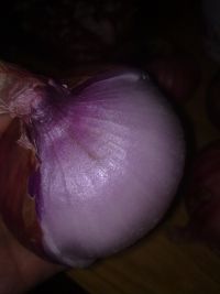 养生食谱大放送