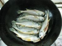 养生食谱大放送