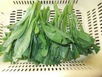 养生食谱大放送