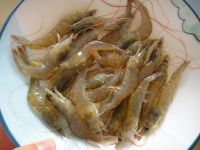 养生食谱大放送