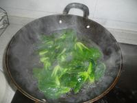 养生食谱大放送