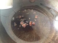 养生食谱大放送