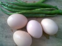 养生食谱大放送