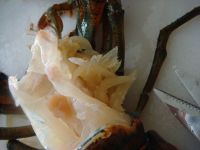 养生食谱大放送