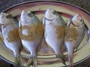 养生食谱大放送