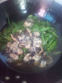 养生食谱大放送