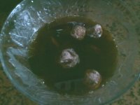 养生食谱大放送