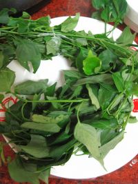 养生食谱大放送