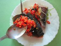 养生食谱大放送