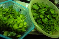 养生食谱大放送