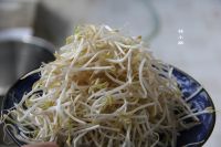 养生食谱大放送