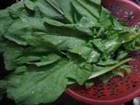 养生食谱大放送