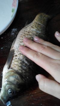 养生食谱大放送