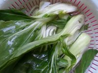 养生食谱大放送