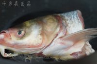 养生食谱大放送