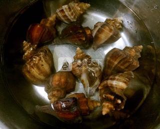 白灼<a href=/shicai/shuichanpin/HaiLuo/index.html target=_blank><u>海螺</u></a>