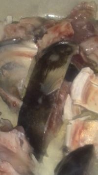 养生食谱大放送